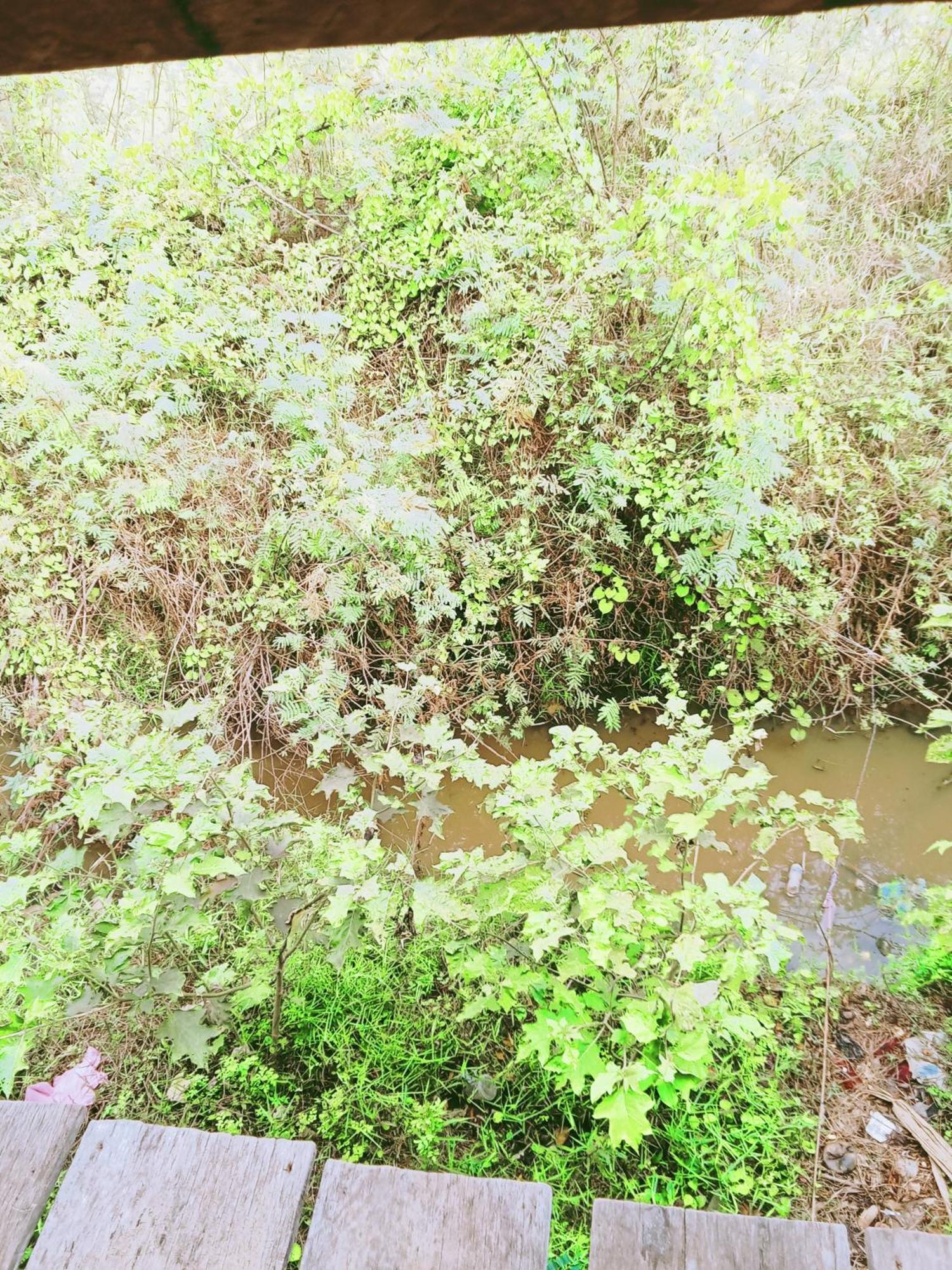 Chamkachuk Home Siem Reap Eksteriør billede